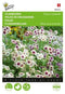 Buzzy - Zaden phlox vlambloem cherry caramel 0.4 gram