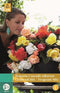 Jub - Begonias Cascade Odorosa Fragrant Mix