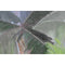 Schilderij Home ESPRIT Palmen Tropisch 90 x 3,5 x 120 cm (2 Stuks)