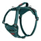 Hondentuigje Company of Animals Turkoois M 35-55 cm