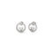 Oorbellen Dames Guess JUBE04666JWRHT-U Zilverkleurig