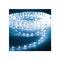 Ledbuis EDM 72716 flexiLED Blauw 1,4 W x 1 m 48 m 2 zijden