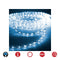 Ledbuis EDM 72716 flexiLED Blauw 1,4 W x 1 m 48 m 2 zijden