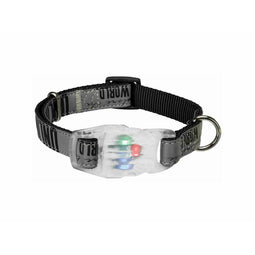 LED-halsband voor huisdieren Trixie Explore USB Zwart L/XL 40-65 cm