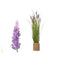 Decoratieve plant Ibergarden GD013302A Touw Plastic 30 x 69 x 30 cm (3 Stuks)