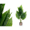 Decoratieve plant Ibergarden 11 Plastic Magnesium 50 x 50 x 84 cm (4 Stuks)