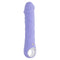 Vibrator Evolved Paars