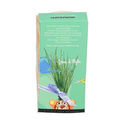 Buzzy - Grow gifts kweekset munakuppi leeuw