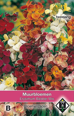 2 stuks - Van hemert co - Erysimum cheiri Bedder Mix