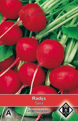 2 stuks - Van hemert co - Radijs Saxa