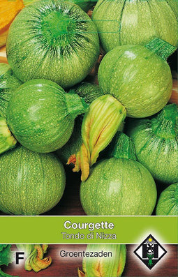 2 stuks - Van hemert co - Courgette Tondo di Nizza
