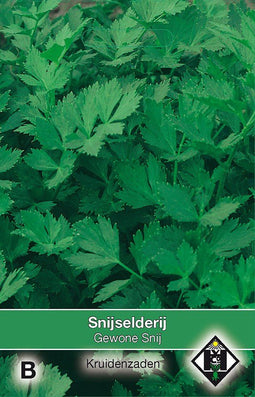 2 stuks - Van hemert co - Selderij Apium Gewone Snij
