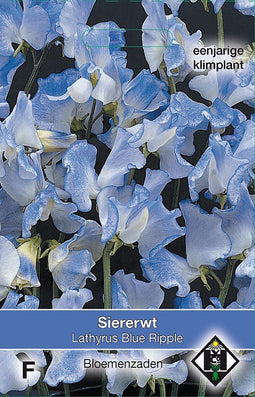 2 stuks - Van hemert co - Lathyrus o. Blue Ripple