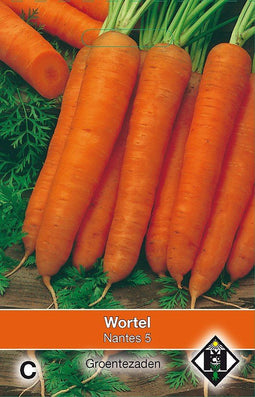 2 stuks - Van hemert co - Wortel Nantes 5