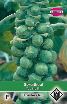 2 stuks - Van hemert co - Spruitkool Topline F1