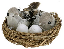 Annas collection - 2 VOGELS 2 EIEREN IN NEST 7X11X4CM / PET BOX