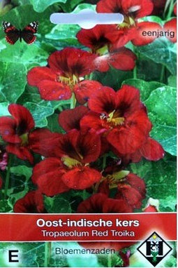 Van hemert co - Tropaeolum m. Red Troika