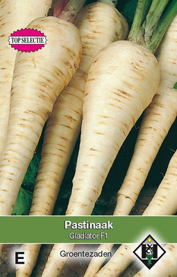 2 stuks - Van hemert co - Pastinaak Gladiator