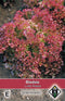 2 stuks - Van hemert co - Bladsla Lollo Rossa