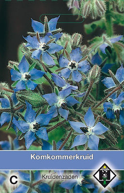 2 stuks - Van hemert co - Bernagie Borage