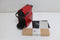 Krups Nespresso Inissia XN1005 Rood