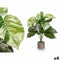 Decoratieve plant Ibergarden 12 Plastic Magnesium 42 x 42 x 78 cm (4 Stuks)