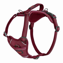 Hondentuigje Company of Animals Bordeaux S 28-42 cm