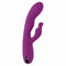 Dubbele Stimulatie Vibrator Evolved Playboy Paars
