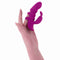 Dubbele Stimulatie Vibrator Evolved Playboy Paars