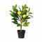 Decoratieve plant Everlands Plastic Citroenboom 17 x 24 x 43 cm