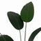 Decoratieve plant PVC Cement Weefsel Paradijsvogel 50 x 50 x 220 cm