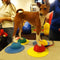 FitPAWS Targets 4 st geel en blauw
