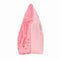 Reistasje Moos Passion Multicolour Polyester Gerecycled 23 x 12 x 8 cm
