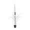 Warentuin natuurlijk - Larix kaempferi 125-150 cm Conifeer