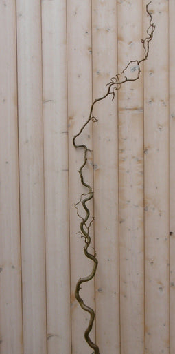 3 stuks - Warentuin natuurlijk - Luxe paastak