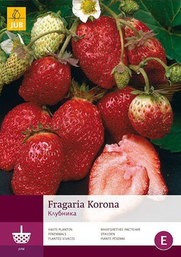 2 stuks - Jub - 5 Fragaria Korona