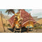Xbox Series X videogame Capcom Monster Hunter Wilds