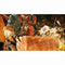 Xbox Series X videogame Capcom Monster Hunter Wilds