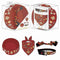 Geschenkenset Harry Potter Rood Multi-compositie Hond 4 Onderdelen