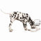 M-PETS waterdispensercilinder - 3500 ml - wit - voor hond