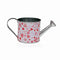Gieter Versa Rood Hartjes