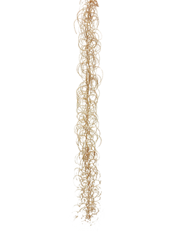 Nova nature - Curly garland beige 103 cm (S) kunstbloem