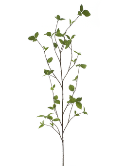Nova nature - Fagus spray green 163 cm kunstbloem