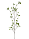 Nova nature - Fagus spray green 163 cm kunstbloem