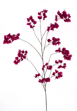 Nova nature - Bougainvillea branch Ibiza beauty 175 cm kunstbloem