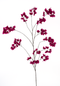 Nova nature - Bougainvillea branch Ibiza beauty 175 cm kunstbloem