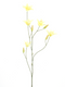 Nova nature - Day lily spray yellow 106 cm kunstbloem