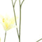 Nova nature - Day lily spray yellow 106 cm kunstbloem