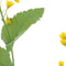 Nova nature - Mini flower branch yellow 108 cm kunstbloem