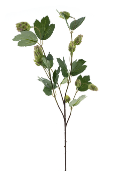Nova nature - Hop spray La Choeffe green 76 cm kunstbloem